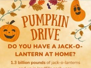 pumpkin drive flier